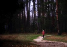 Waldweg / ***