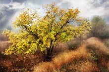 Herbst / Autumn