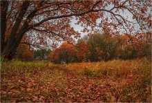 Roter Oktober / ***