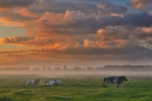 Colors of the morning. / A beautiful autumn morning.