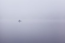 Monolog über fishing ...... / ***