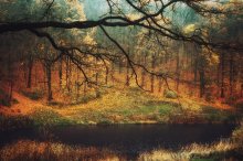 Herbst im Nahen / ***