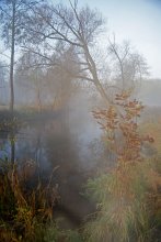Serie: Morgennebel / .........