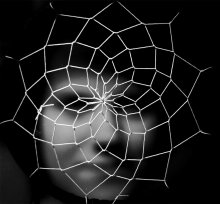 Spider madonna / .............