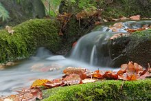 Autumn creek / ***