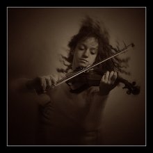 ( VIOLIN ) / ABorisovStudio