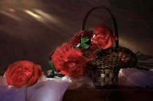 Evening with roses / ***