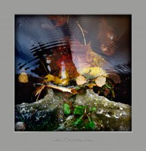 Herbst / ***