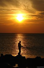 Sun Catcher / ***