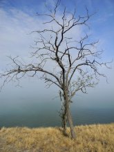die Klippe / ***