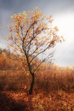 Herbst / Autumn