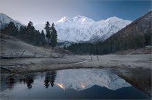 Morning of 8125 m / ***