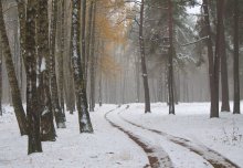 Nebensaison / _________________