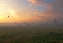 Vor Sonnenaufgang / ****