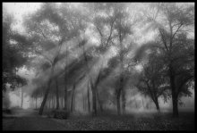 MISTery / ***