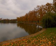 wieder am Herbst / ***