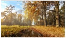 goldene Zeit / ***