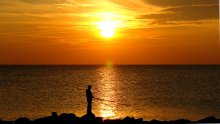 Sun Catcher / ***