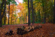 Hauch von Herbst / ***