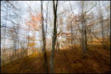 Im Herbst 0004 / ***