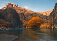 Autumn Charyn / ***
