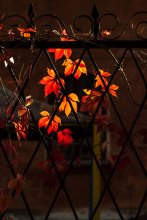 Autumn ... / ***