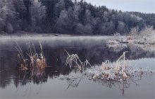 November / ***