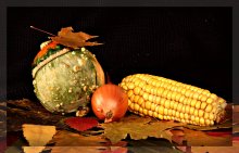 Letzte Ernte im Herbst verlassen .... / ***