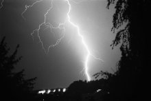 Herz / ***