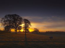 Lonely ... und Dawn ... / ***