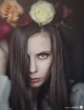  / ***