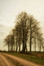 Herbst / ***