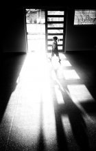 Zum Licht / ***