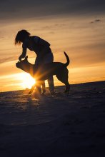 Hund mit Besitzer / ***