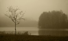 Nebel im November / *****