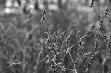 Herbst Blick in die Natur ... / ***