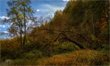 Der alte ivoyu / ***