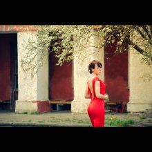 Kirsche / ...............