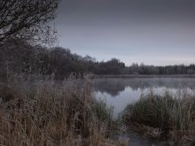 Frosty ... - See ... / ***
