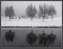 Nebel im November (2) / ***