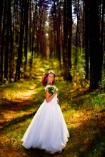 Im Wald / ***