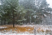 Winter wieder / ***