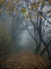 Weg für den Herbst / .....