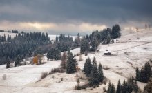 Der erste Schnee / http://max-helloween.livejournal.com/72190.html