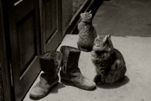 Kuzma und Manja / ***