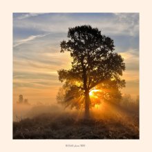 Durch den Nebel / ***