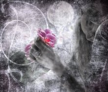 Moonlight Sonata / ***