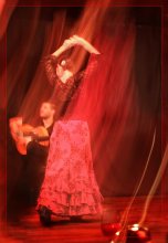 Das Feuer des Flamenco. / ******