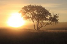 Beobachten sunrise-2 / _________________*