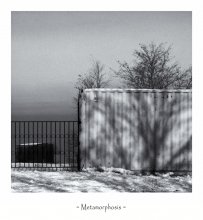  / Metamorphosis